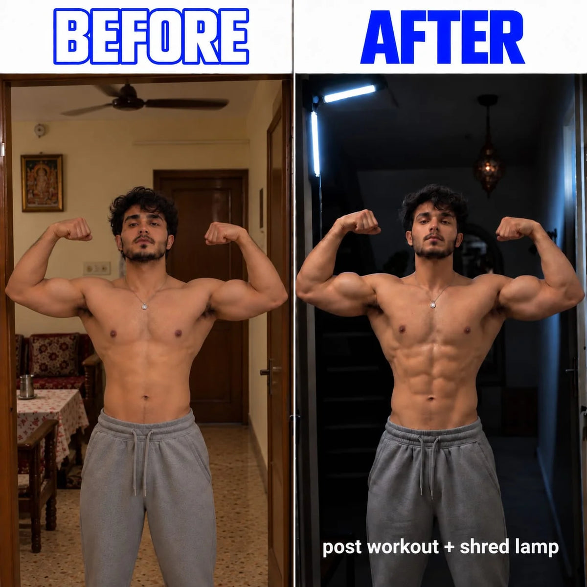 ShredPro- Shred Lamp